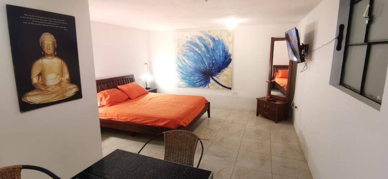 Parrot House San Antonio Cali Exterior foto